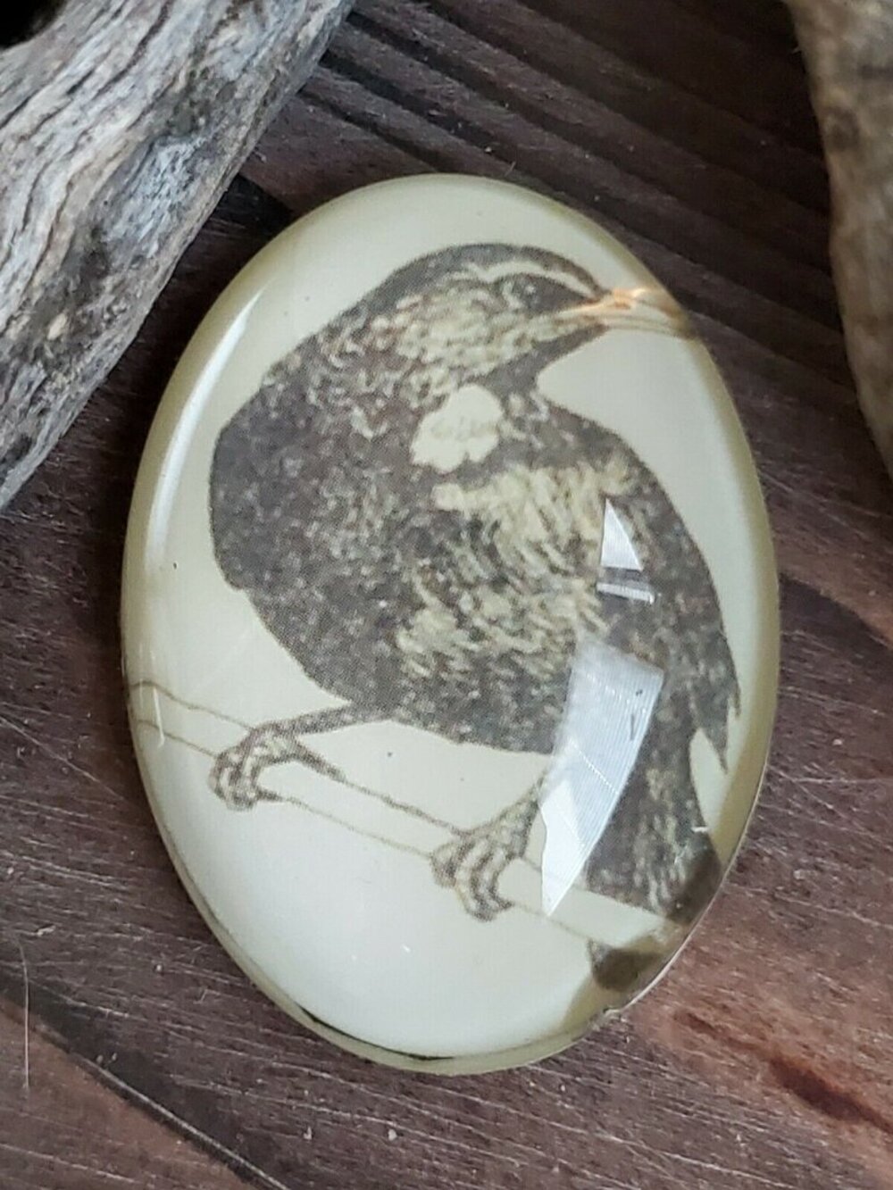 Edgar Allan Poe The Raven Victorian Gothic Bird Glass Oval Cabochon 40x30mm - Picture 6 of 10